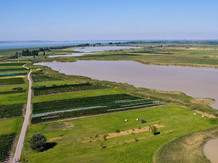 www.nationalpark-neusiedlersee-seewinkel.at