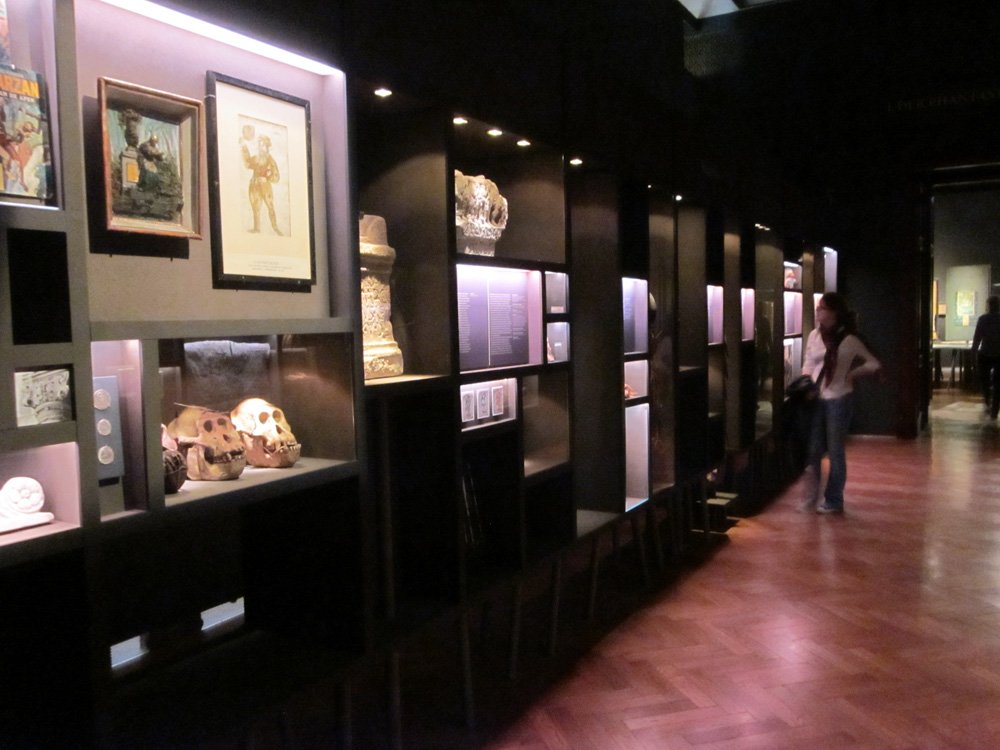 Wald / Baum / Mensch - Museum für Völkerkunde Wien © Winter Artservice