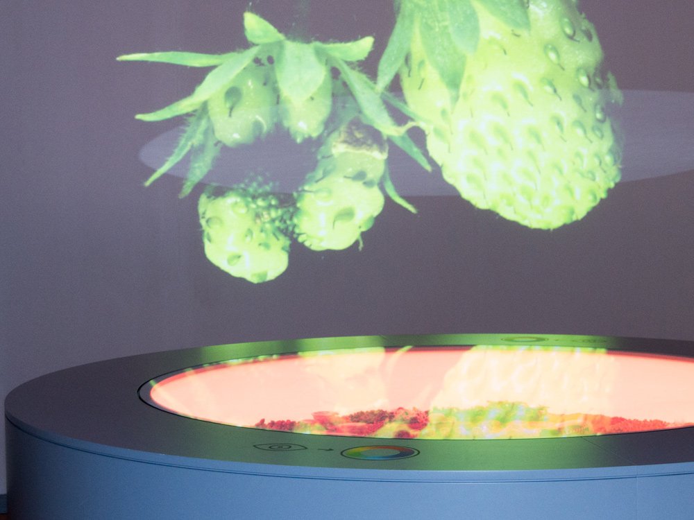 Aus der Erde auf den Teller, Schloss Hof © Nofrontiere