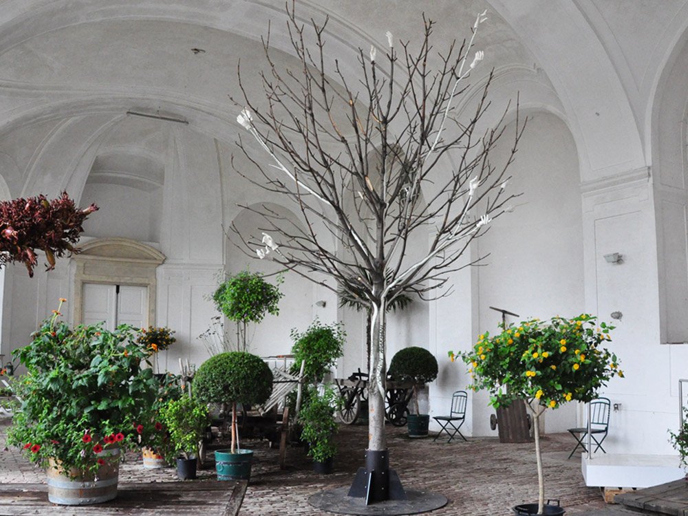 2018 MusikaFemina - Orangerie Schönbrunn © Winter Artservice