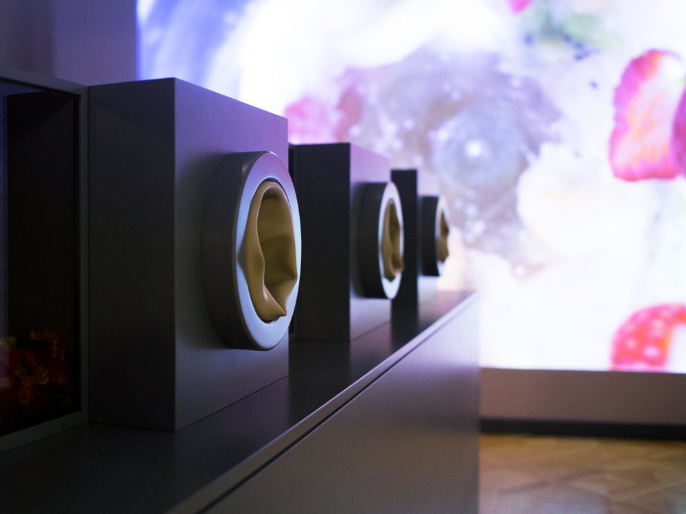 Aus der Erde auf den Teller, Schloss Hof © Nofrontiere